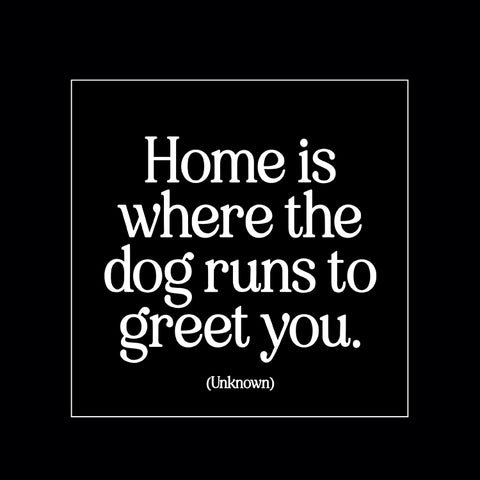 "home is where the dog runs" magnet