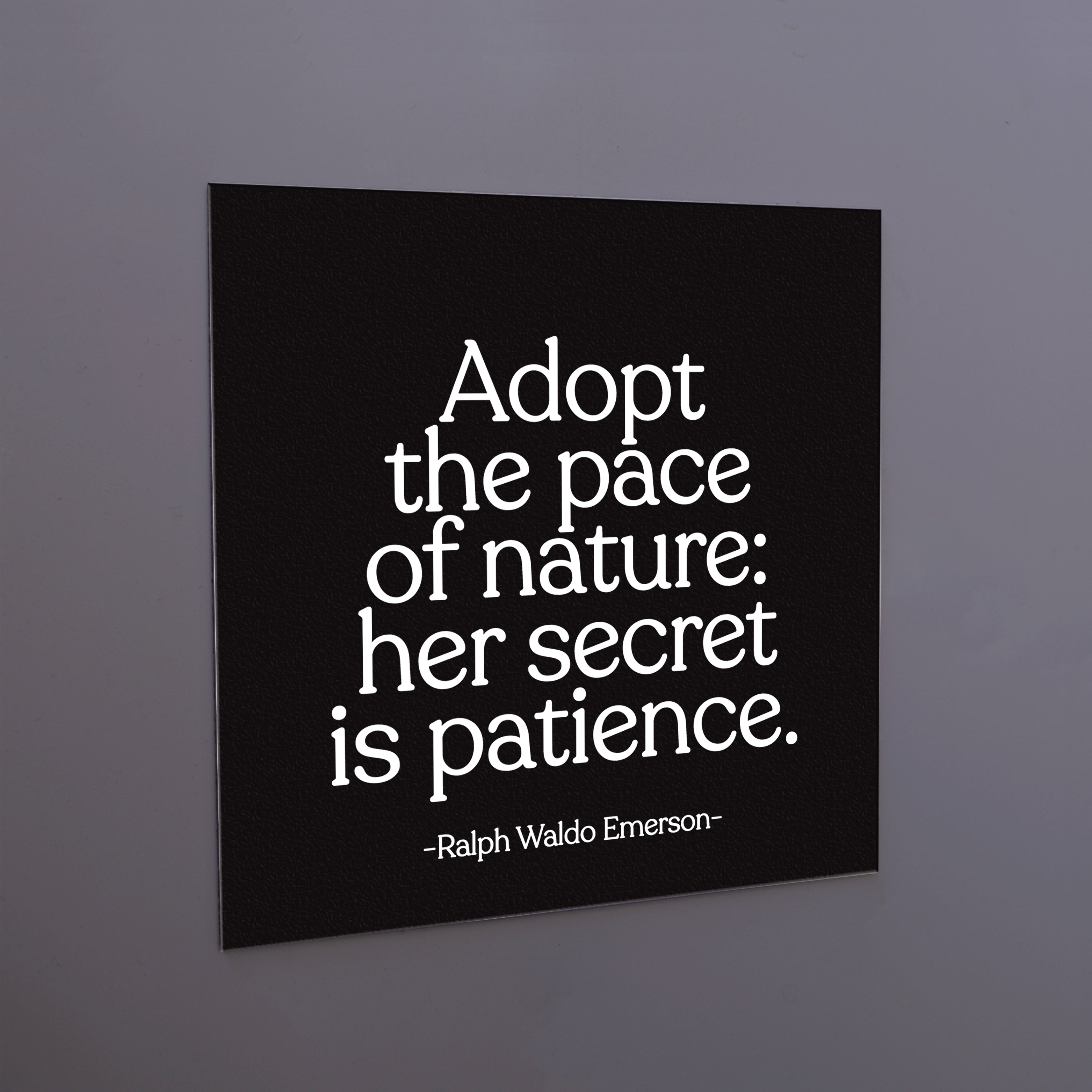 ralph waldo emerson nature quotes